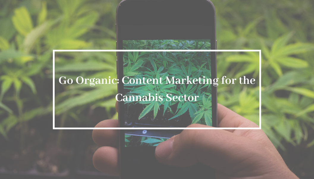 Go Organic: Content Marketing for the Cannabis Sector