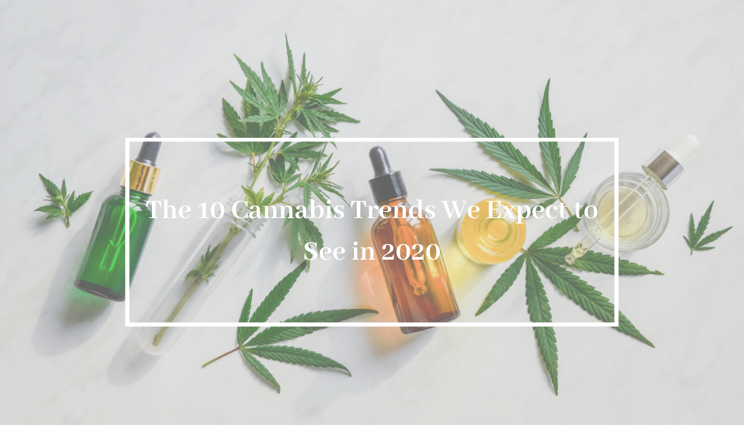 The 10 Cannabis Trends We Expect to See in 2020