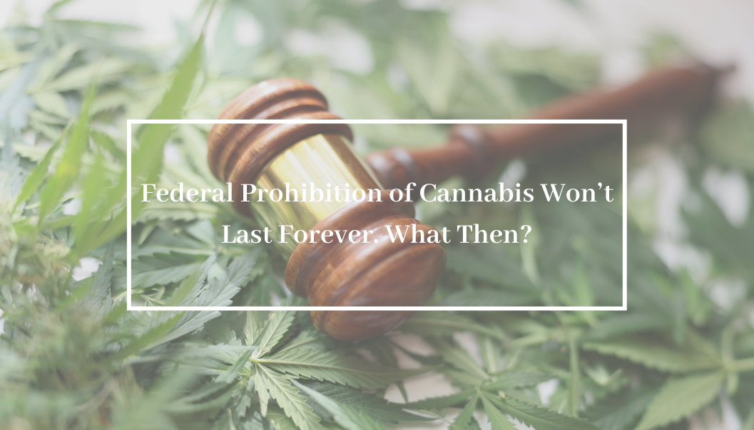 Federal Prohibition of Cannabis Won’t Last Forever. What Then?