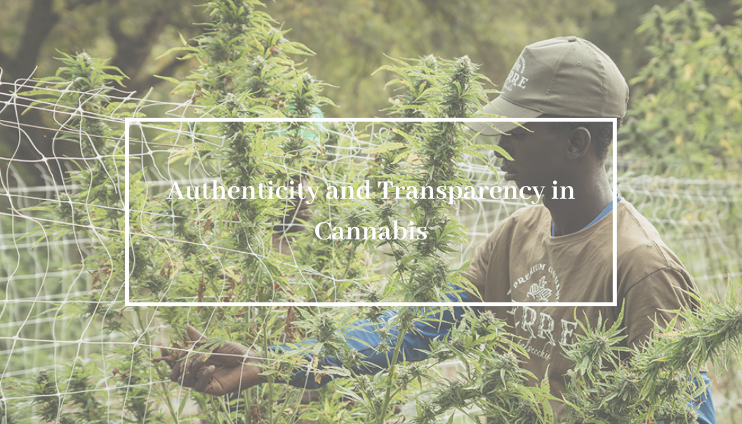 Authenticity and Transparency in Cannabis