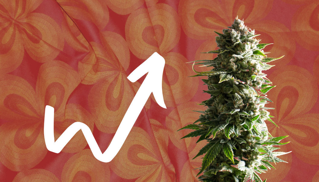 A business growth strategy for your cannabis brand