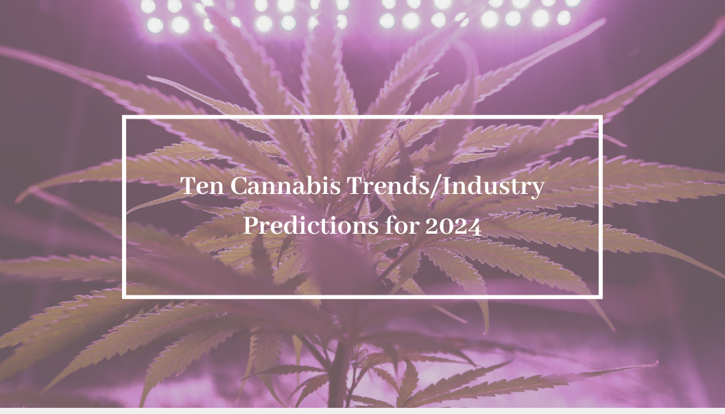 Ten Cannabis Trends/Industry Predictions for 2024