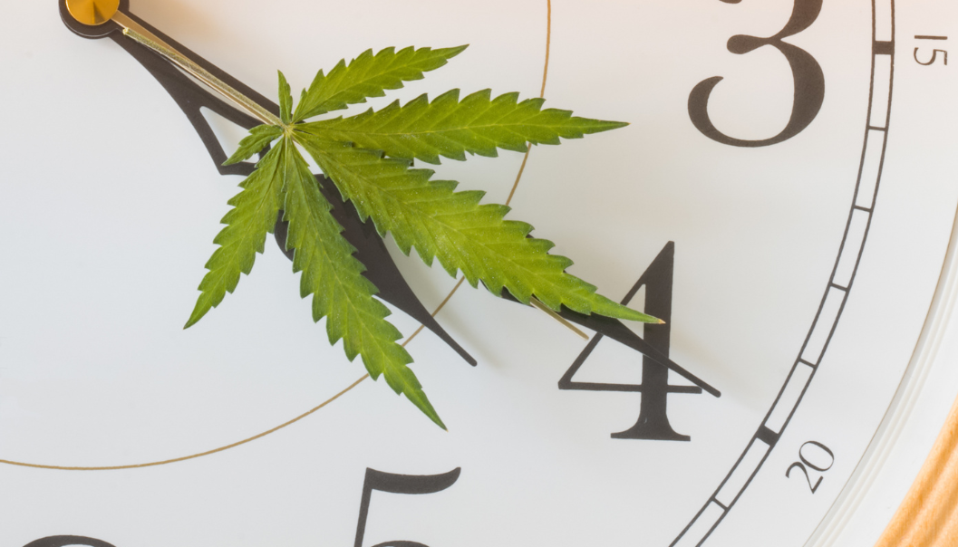 4/20: Marketing Strategies to Engage Consumers Before and After the Holiday